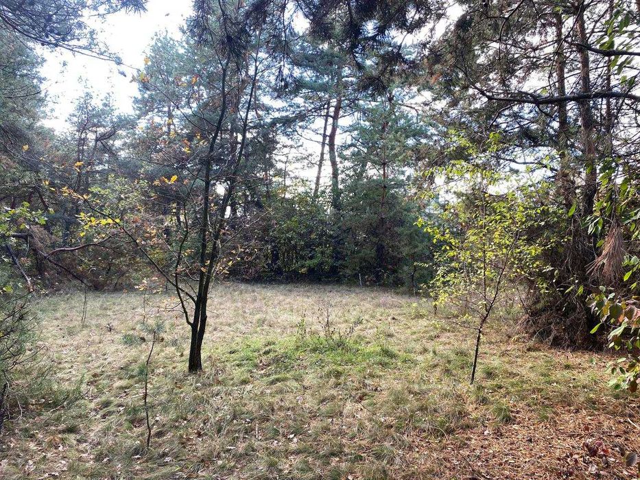 Продам ділянку мрії  біля соснового лісу в м.Гайворон!