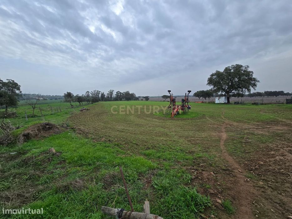 Terreno Rústico de 1,125 ha em Alcáçovas – Ideal para Agricultura, Hab