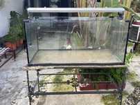Aquario de 400 litros para desocupar