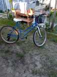 Bicicleta de senhora