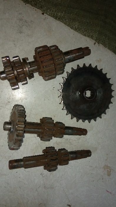 муравей инвалидка  кпп