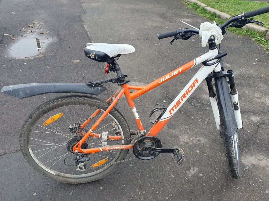 Біціглі китайські