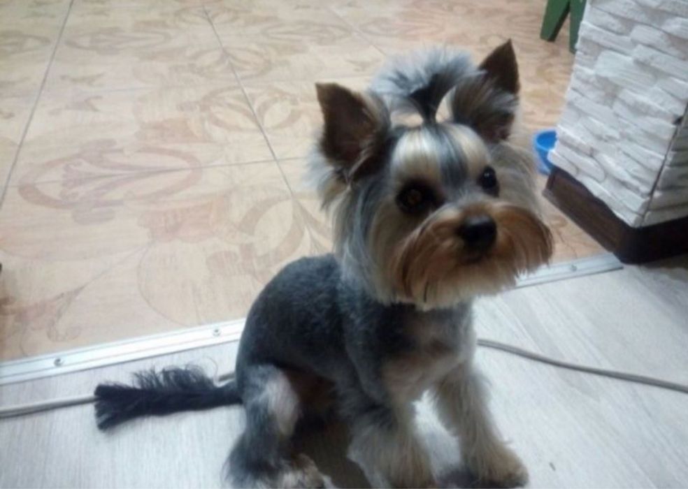 Дорослий хлопчик 2 роки