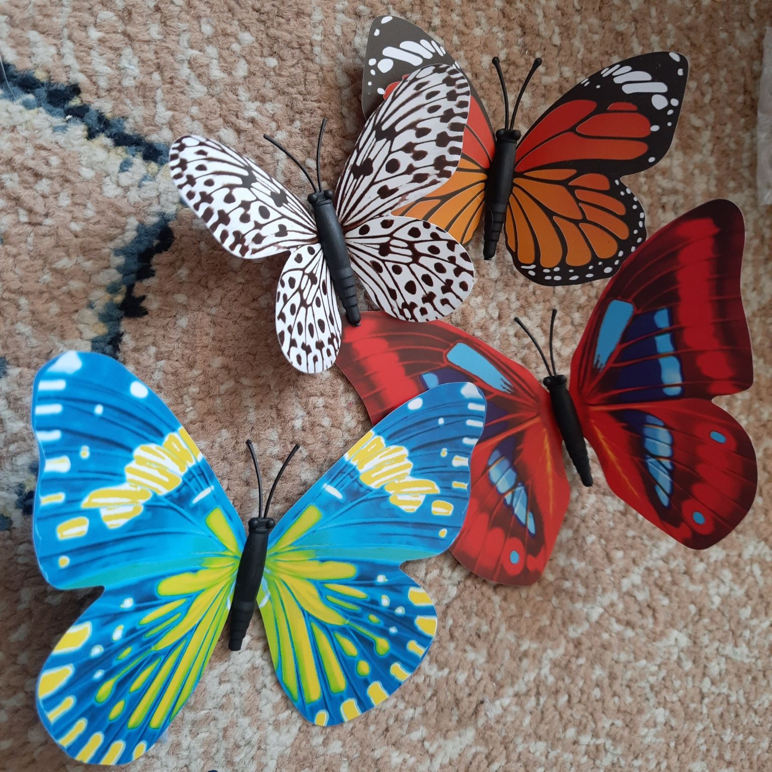 Motyle do dekoracji NOWE