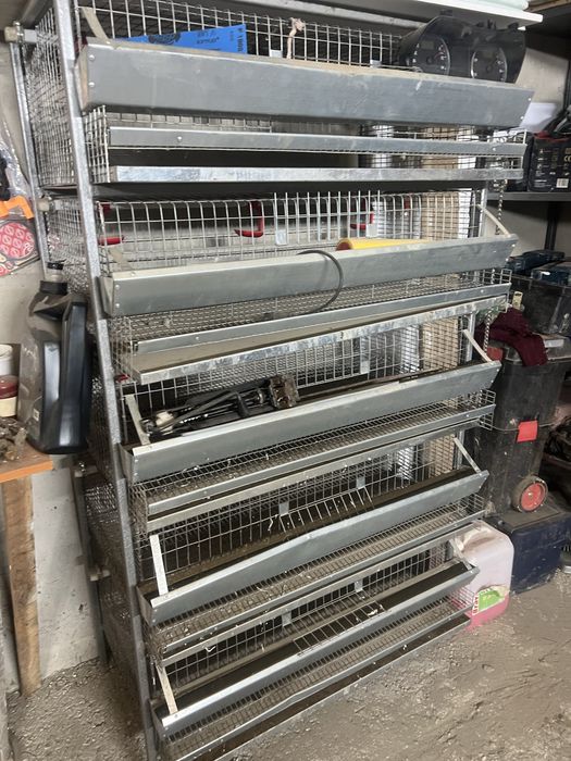 Клітка для перепілок пьять секцій