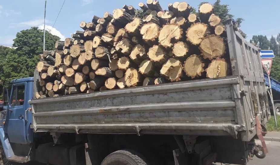 Дрова колотые или метровые, дуб, ясень, сосна, тополь, чернозем