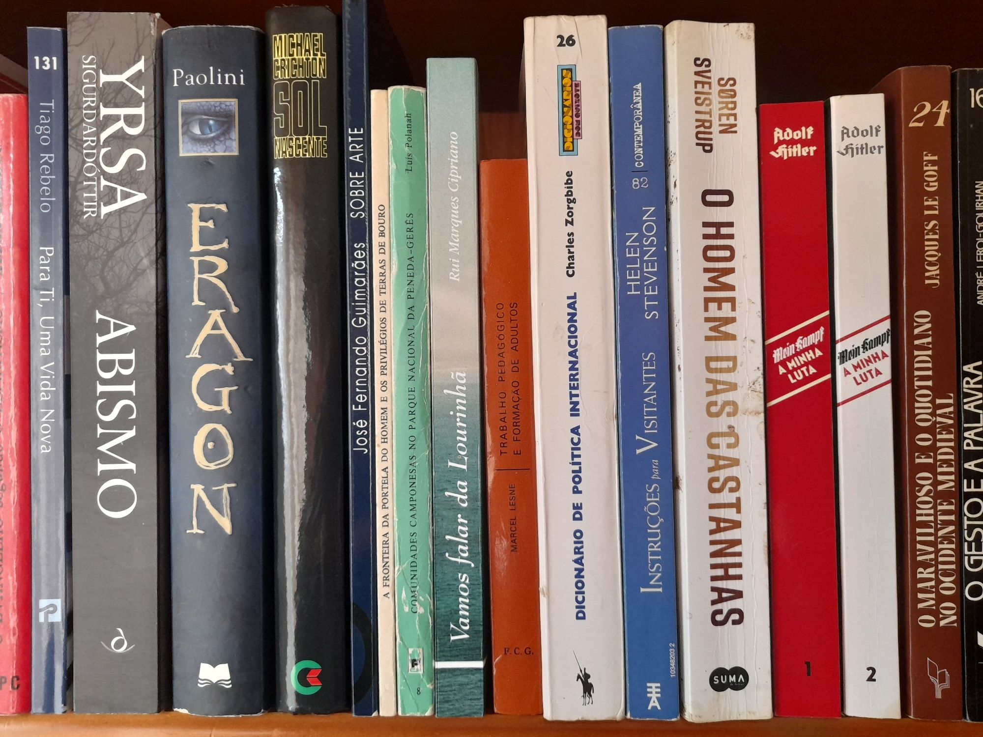 Lote de livros usados