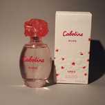 Cabotine Rose Gres