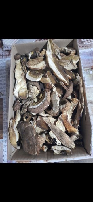 Grzyby suszone prawdziwek,brzozak 500 gram