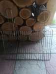 Ruszt do grilla ze stali chromowanej 46,5x32