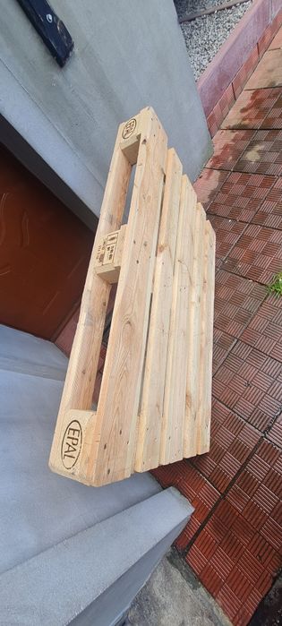Paleta euro Gat 1 super stan