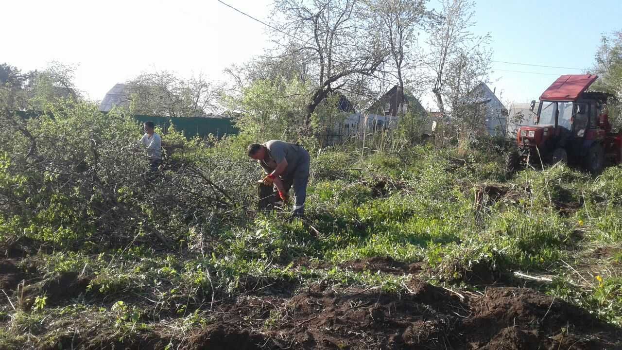 Розчистка земельних ділянок