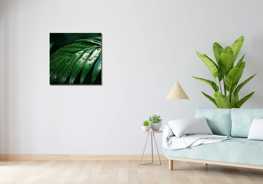 Obraz 60x60cm Żywa Łagodność
