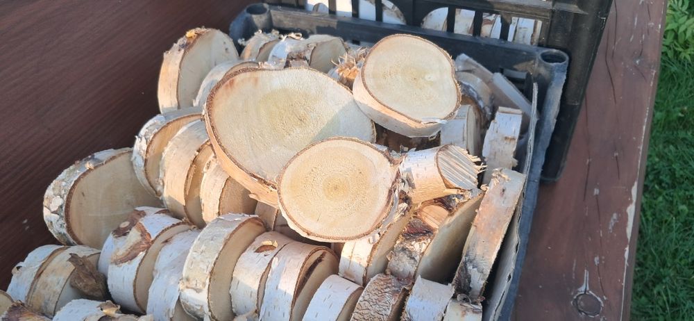 Drewnie Plastry brzozy Mix