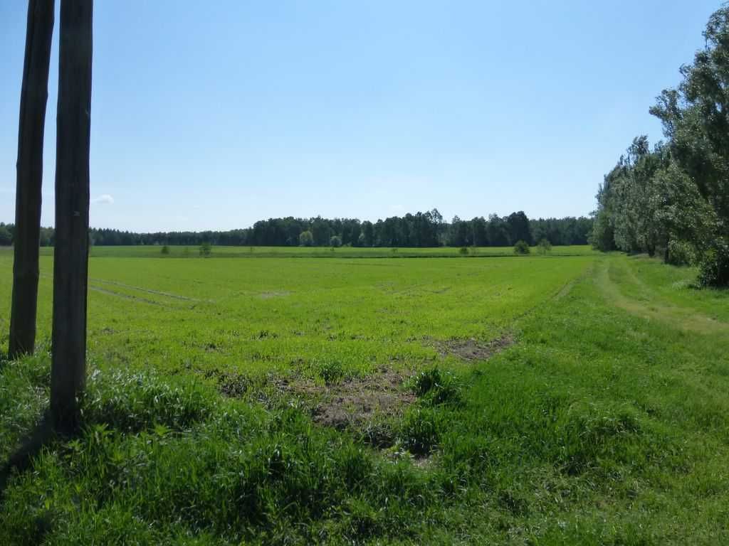 4,3 ha zjazd A1 siedlisko stadnina fotowoltaika baza ferma rolna