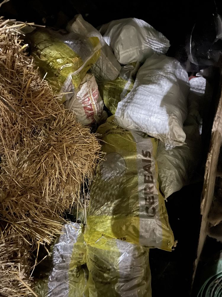 Vendo sacos de pinhas