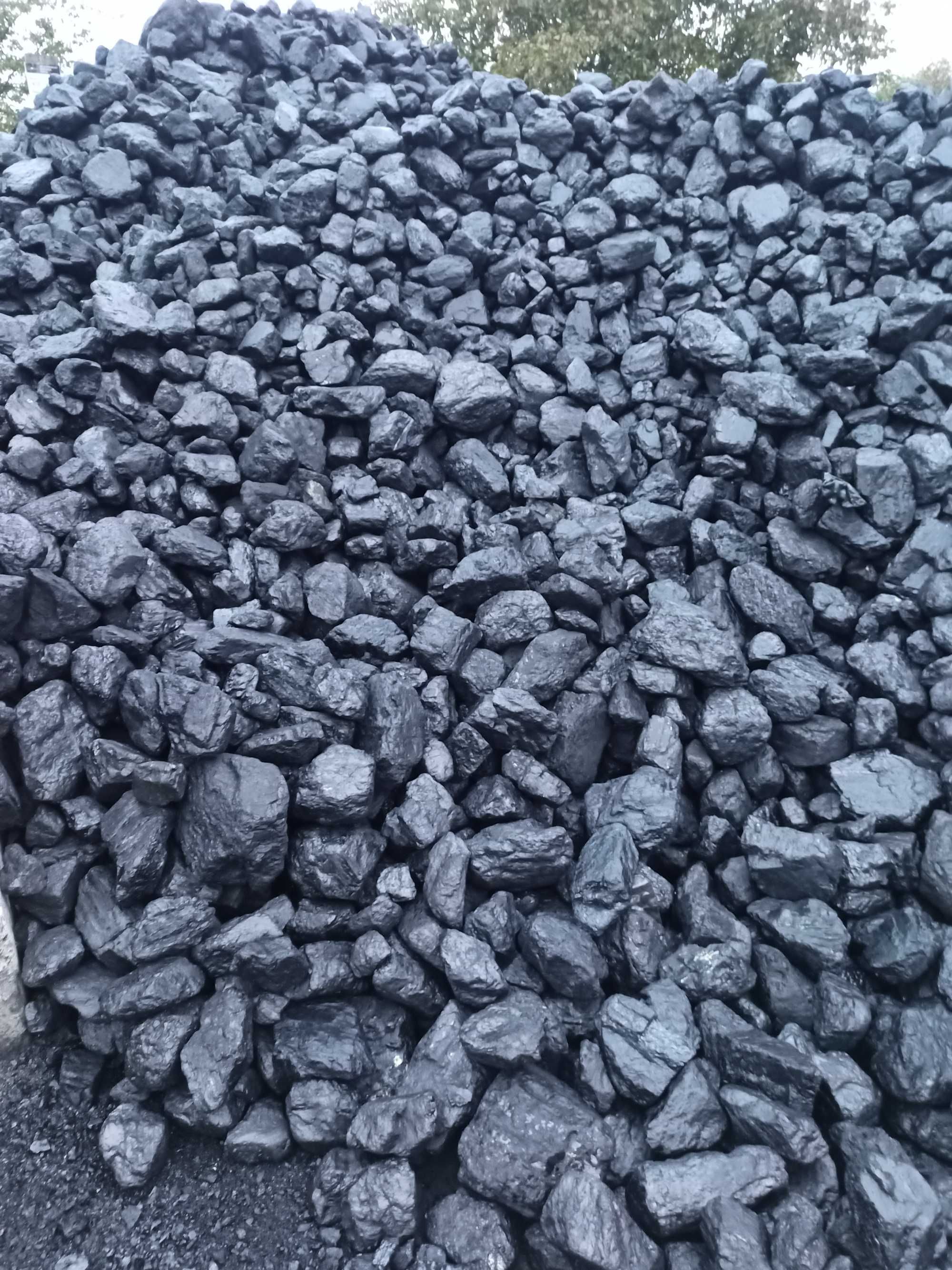 Węgiel Groszek KARLIK Kostka Orzech Skład opału Pellet, KOMIR SUCHY