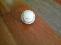 Bola basebol