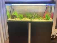 Aquario completo 400L