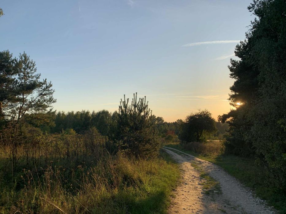 Działka leśno-polna - Olsztyn k. Częstochowy