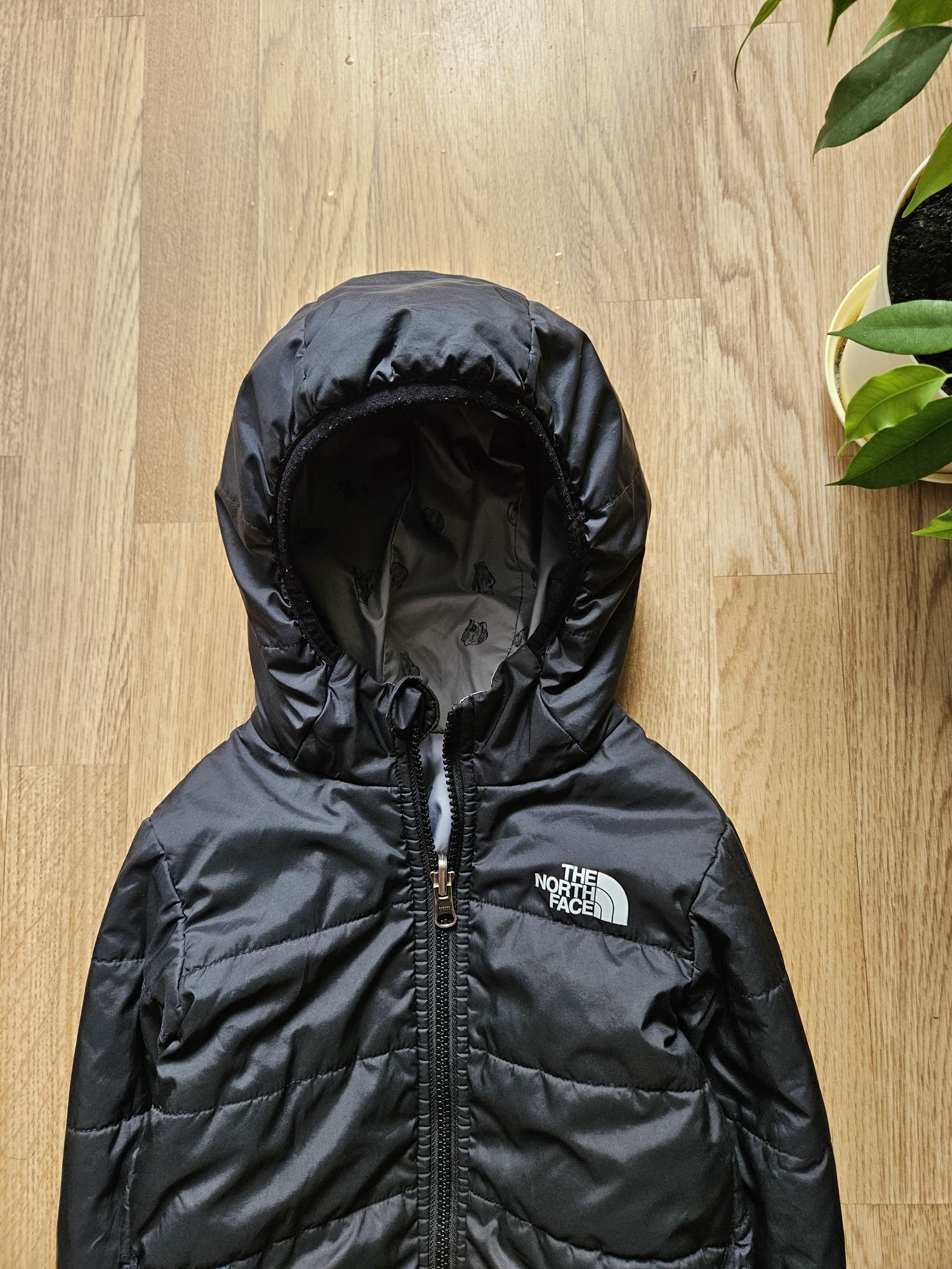 Дитяча курточка демісезонна The north face на хлопчика 5 років