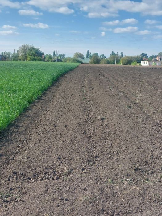 Продаж ,земельна ділянка Вишків