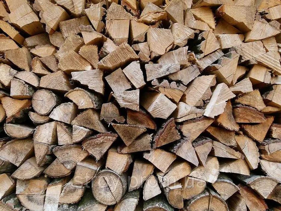 Деревина клена гостролистого, ясена та граба