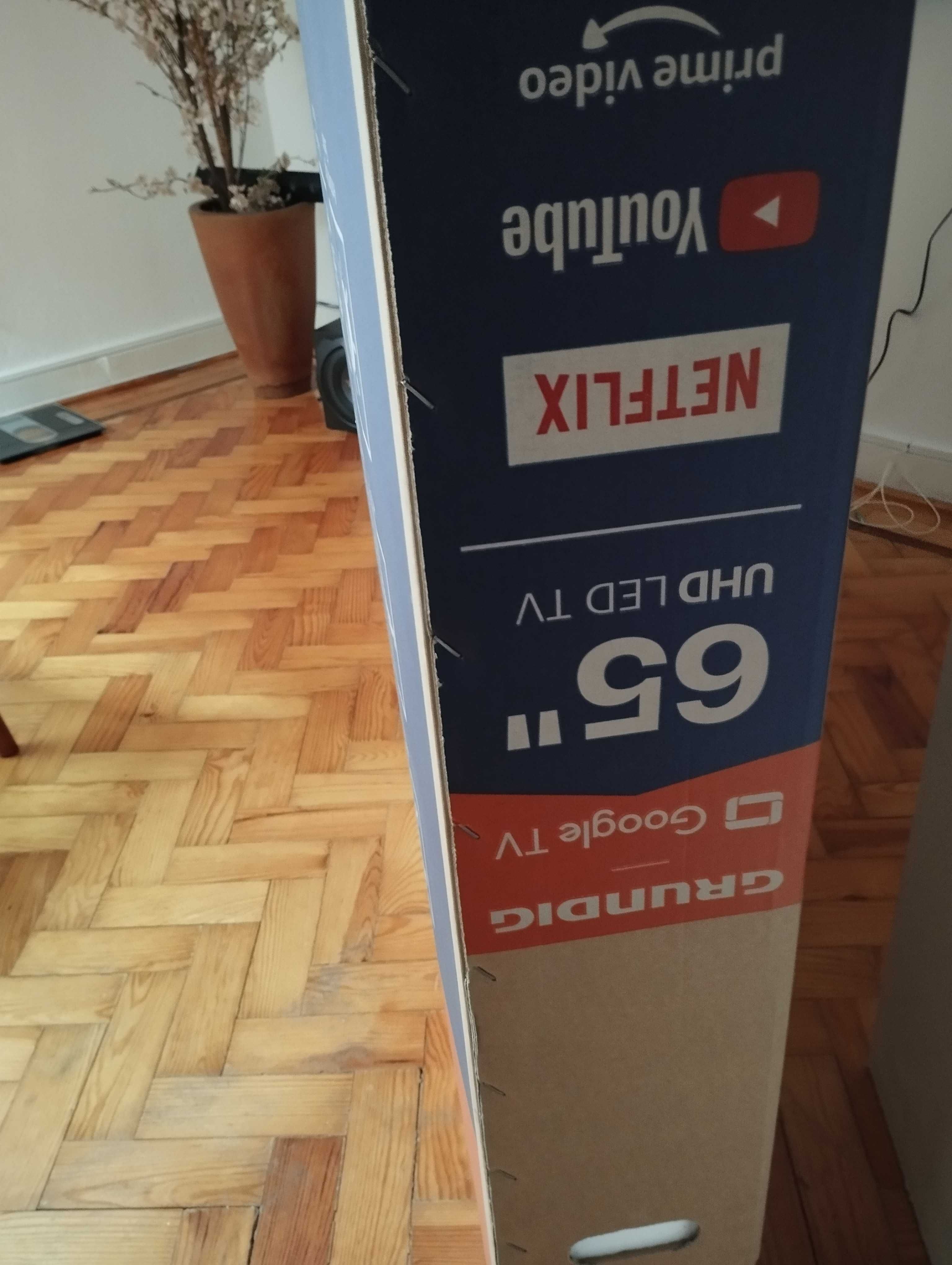 Televisão Grundig