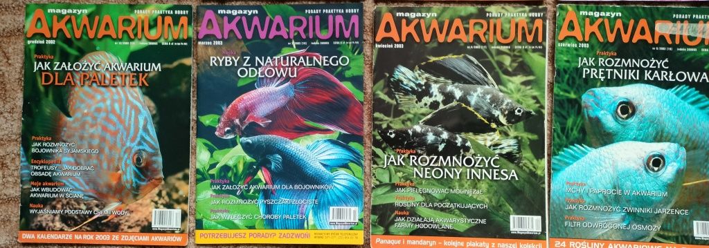 Magazyny "akwarium"