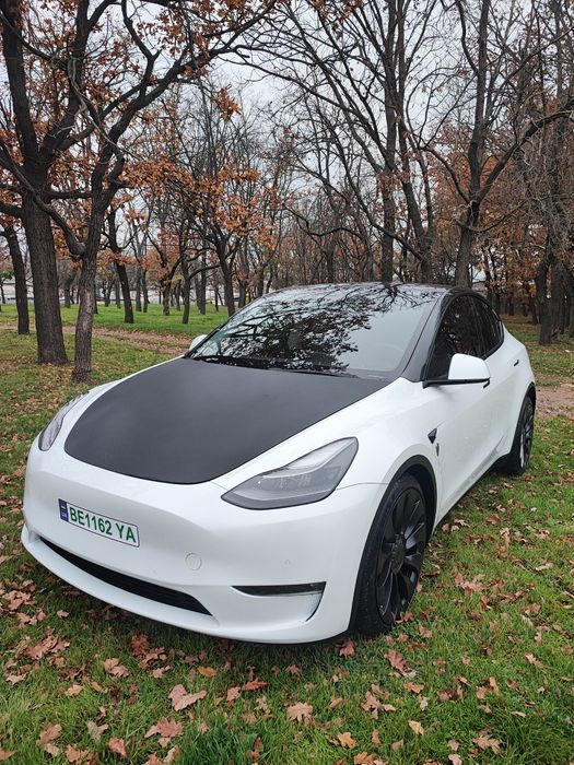 Tesla Model Y performance