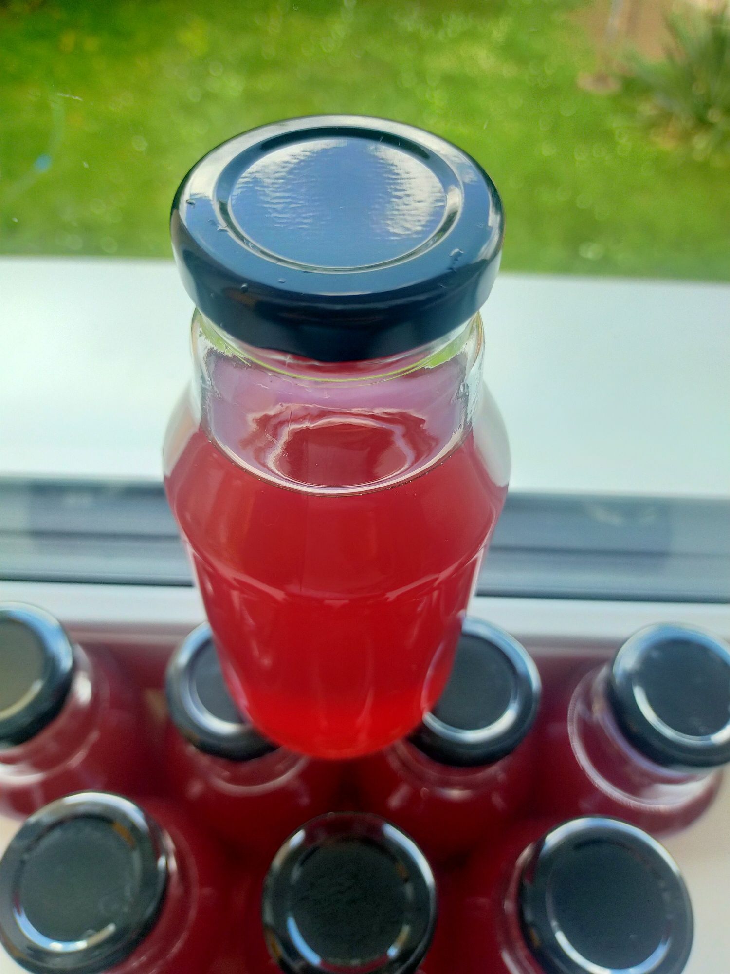 Domowy sok z lipcowych owoców 330 ml