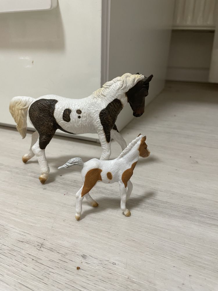 Collecta.