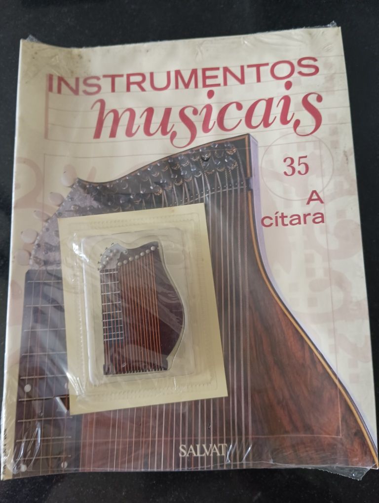 Instrumentos musicais salvat