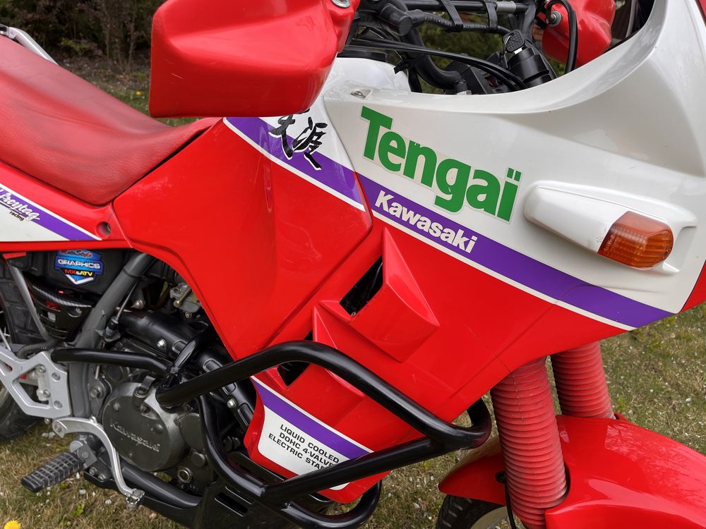 Kawasaki KLR 500 Tengai в ідеалі