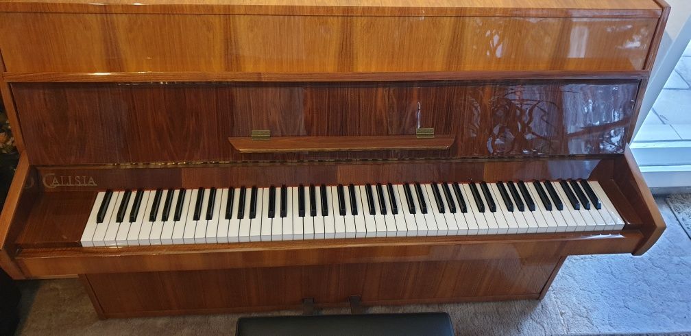Pianino Calisia z krzesłem +dużo nut