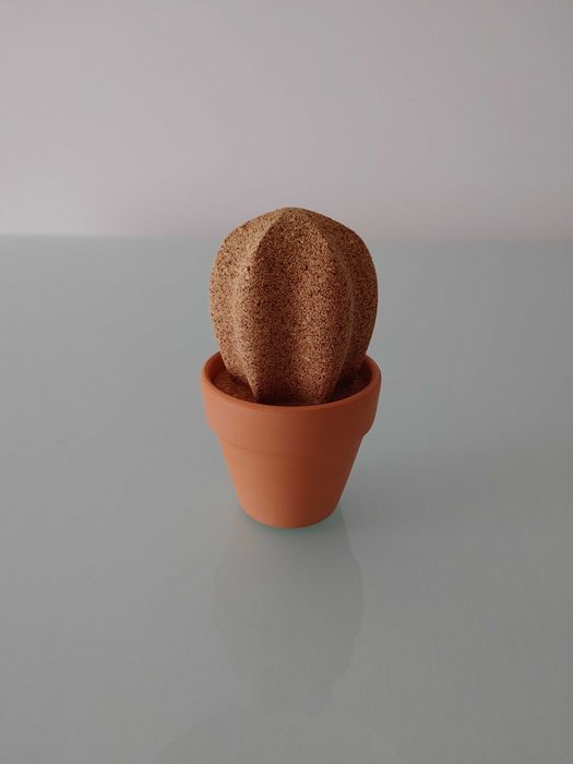 Cacto cortiça com vaso terracota