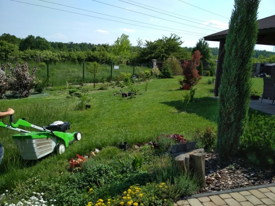 TANIO!!wycinka drzew,koszenie,pielegnacja zieleniZrebkowanie gałęzi