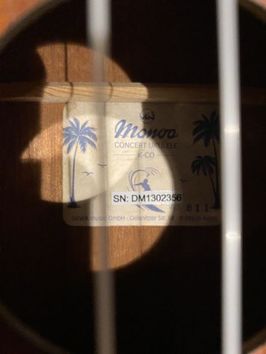 Ukulele concerto com saco + jogo de cordas