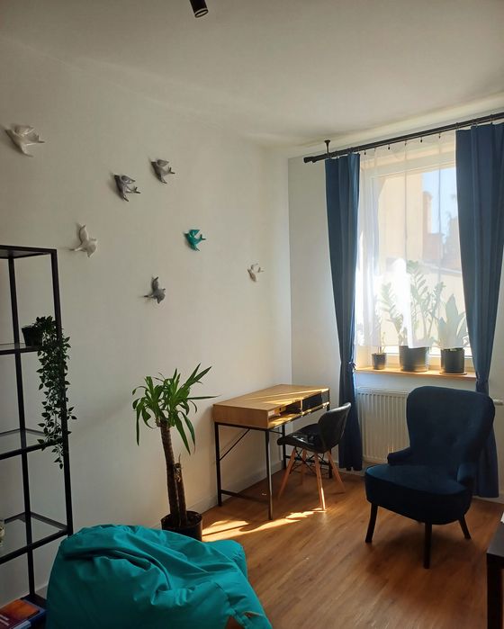 Korepetycje klasy 1 -3 edukacja wczesnoszkolna, zajęcia rozwijające