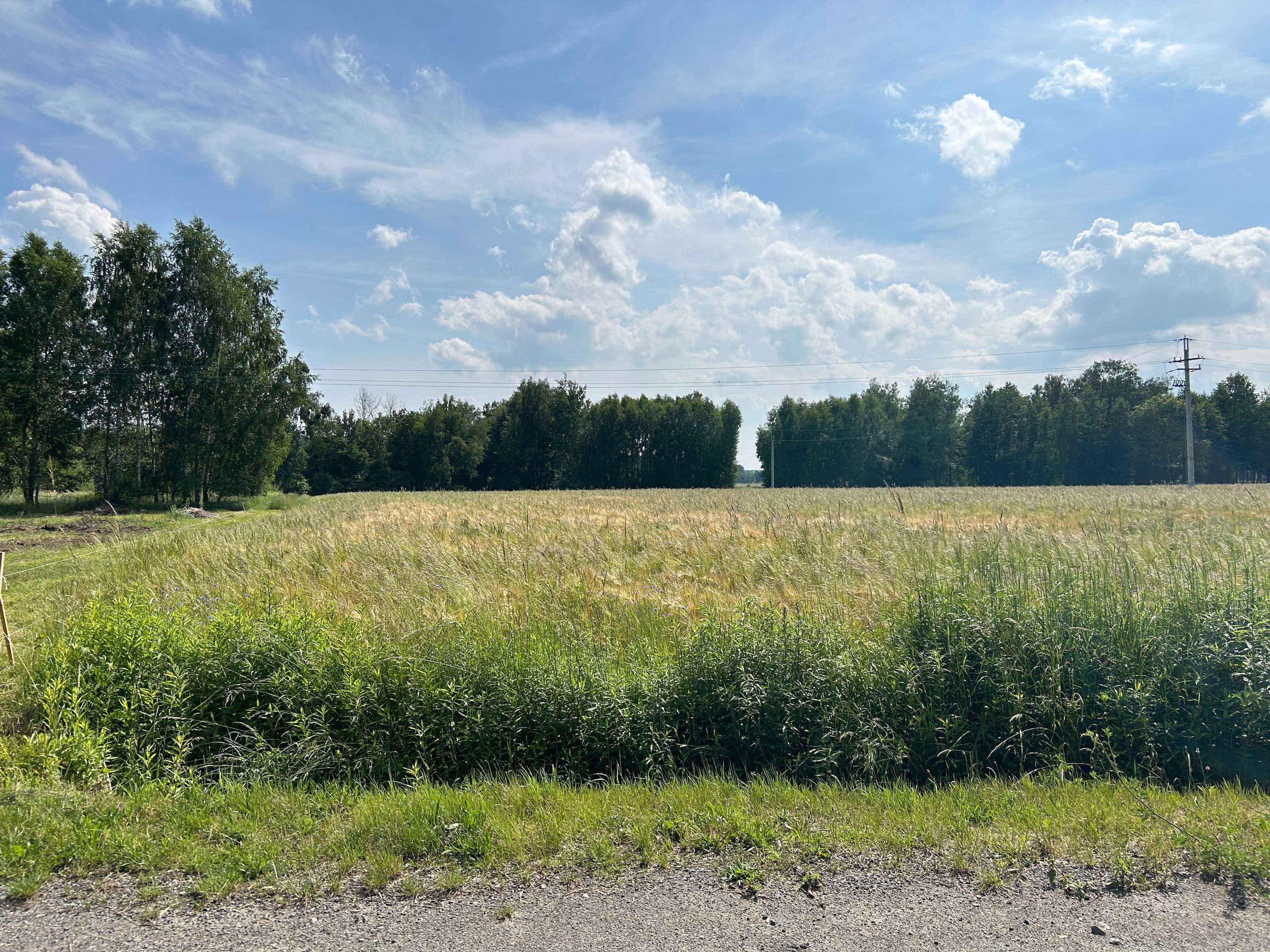 DZIAŁKA BUDOWLANA 1350m2 Przystajń