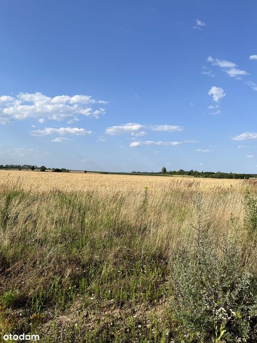 Działka budowlana na sprzedaż 1076 m2