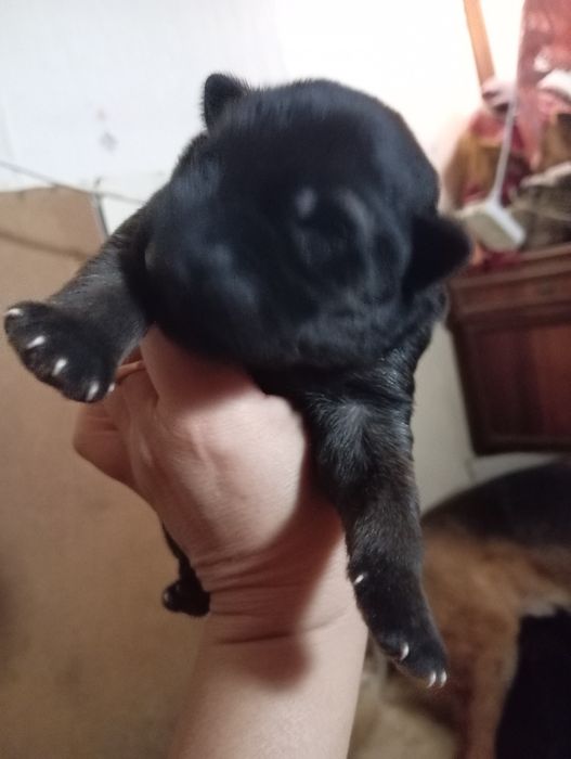 Открыта бронь .Есть мальчики и девочки.