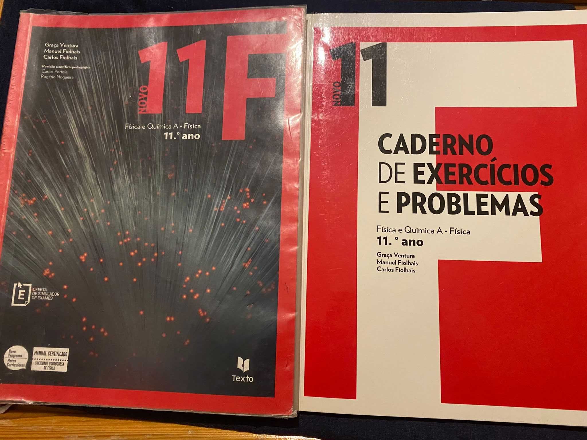 Manual e Caderno de Atividades "Novo 11F" Físico Quimica 11º ano