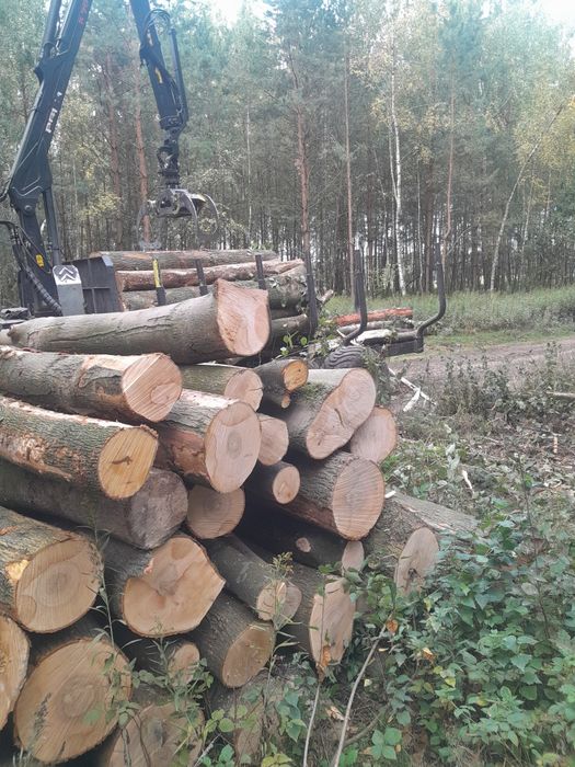 Drewno opałowe kominkowe dąb brzoza sosna