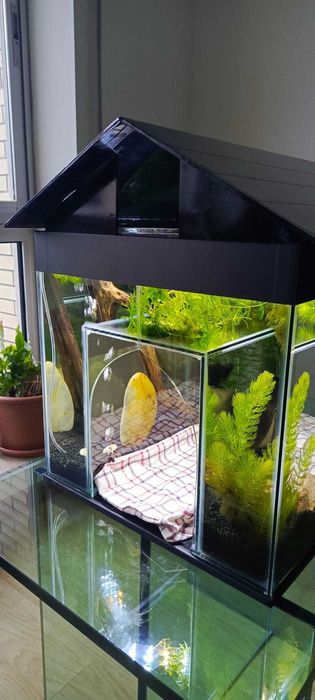 Vendemos aquário - gatário! Uma nova opção interessante!