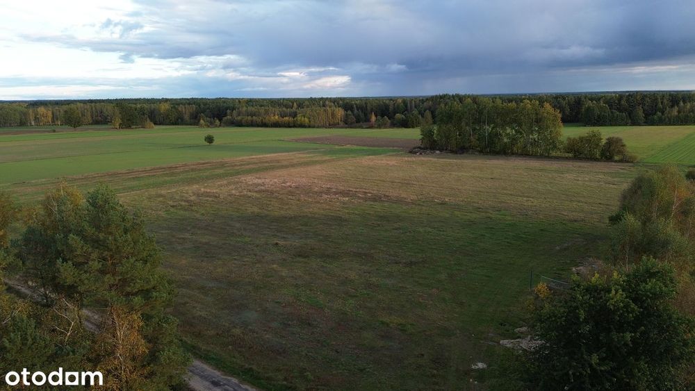 Sprzedam 17 działek budowalnych o pow. od 1000 do ok. 1300 m2