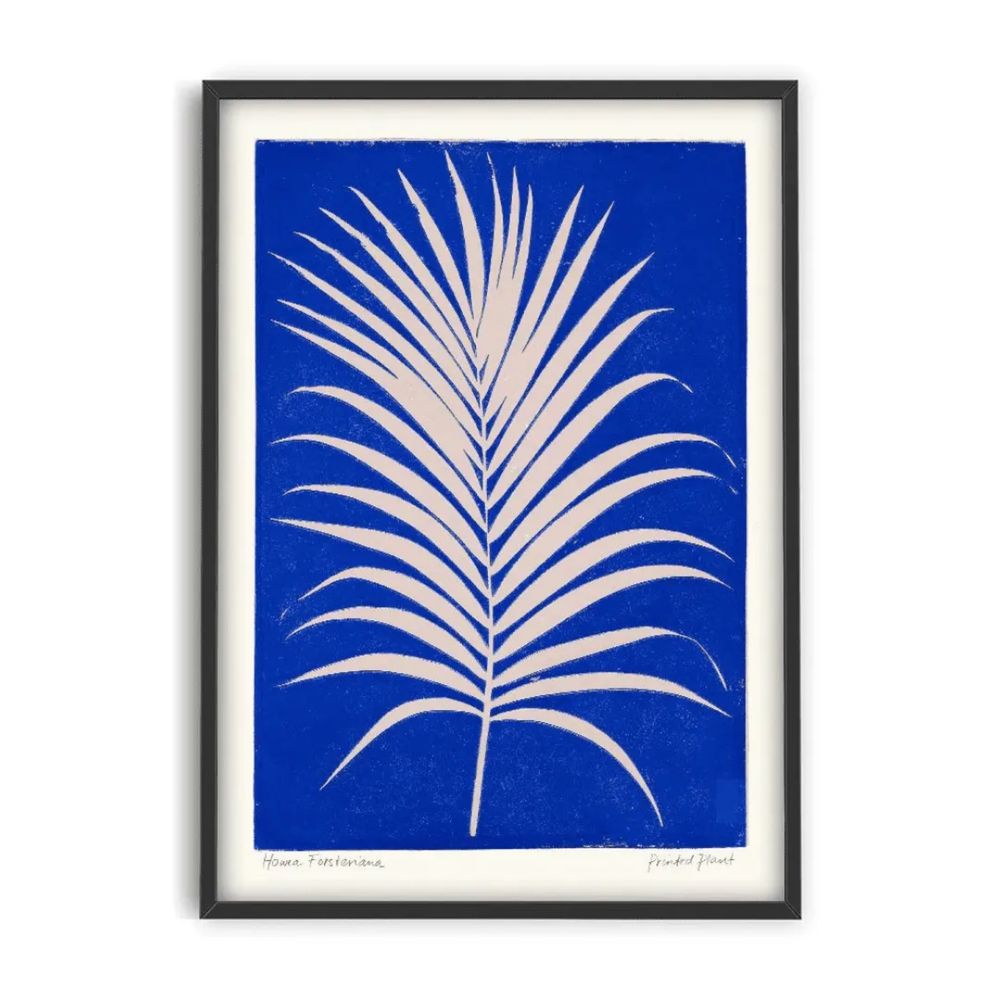 Plakat Palma Howea II / Printed Plant 50x70 cm