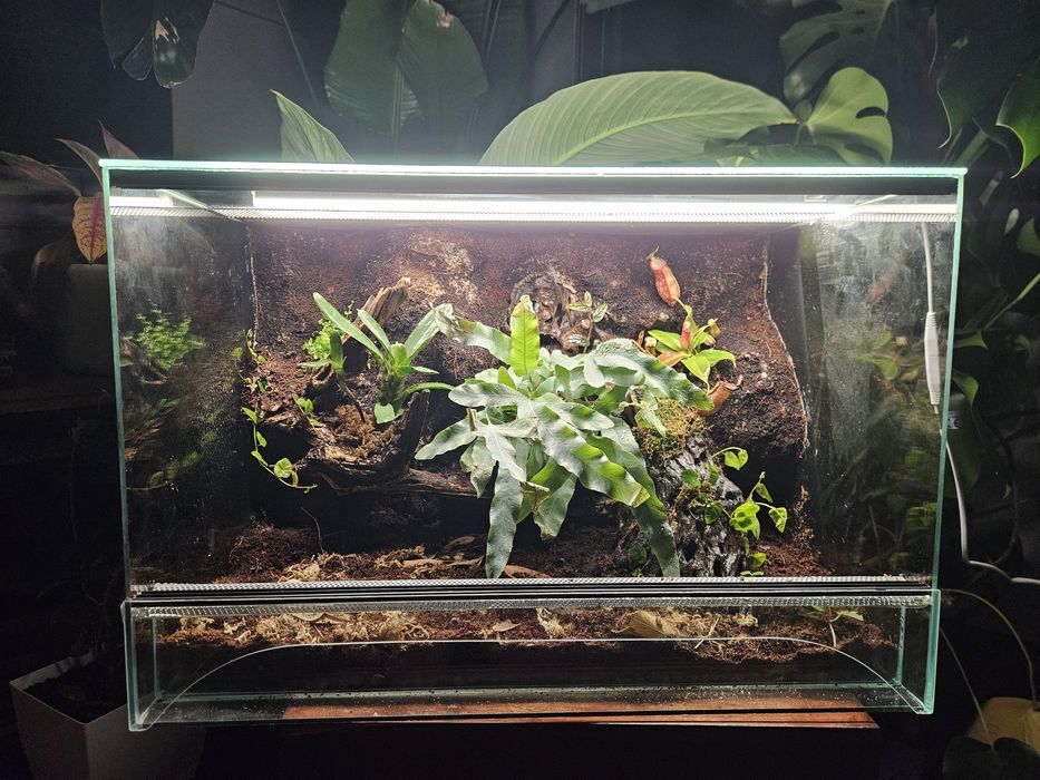 Terrarium Paludarium 60x40x40