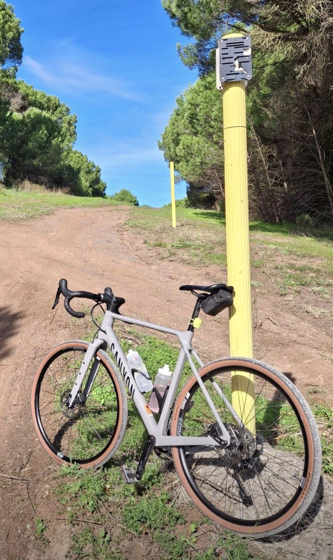 Canyon Grizl CF SL 6 – Bicicleta Gravel Carbono