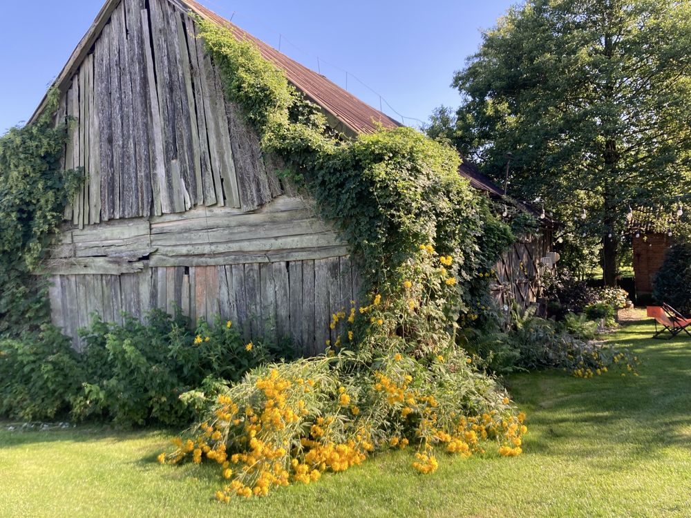 Agroturystyka  domek Rajgród / balia Podlasie /Mazury/ Augustów